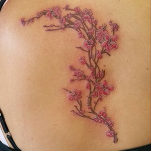 Life is beautiful. #cherryblossomtattoo