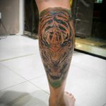 Finish this tiger on calf. We went over for two time to correct details. #billionairetattoohuahin #tattoo #thailand #huahin #huahintattoo #cheyennetattooequipment #intenzink #ink #tattoodo #tigertattoo #realismtattoo #thailandtattoo