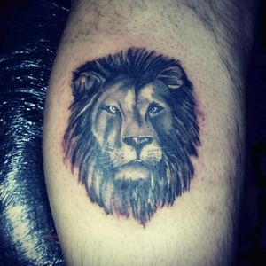 #blackandgrey #lion #realism