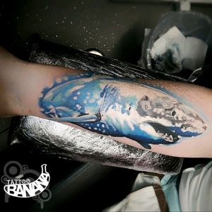 SharkCustom design .By Ela#tattoobanana #tattoo #tattoos #tatts #bodyart #inked #thurles #ink #tattoolovers #tatuaze #worldfamousink #sabretattoosupplies #irelandtattoostudio #tattooprime  #realistictattoo #shark #sharktattoo #jaws #colortattoos #forearmtattoo #rekin #rekintatuaż#customtattoo #customdesign  #fishtattoo #creatures #tipperary
