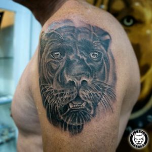 Panther Realistic#realistic #realistictattoo #panther