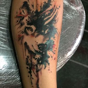 Wolf in #watercolor #tattoo #arm #onesession