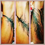 #feder #flûgel #inked #mone1971 #tattoo #tattoos #follower #follow #followforfollow #blackgrey #artist #dreamtattoo #mindblowing #mone1971 #tattoo #tattoos #tattooedmann #tattooedwoman #tattooedgirl