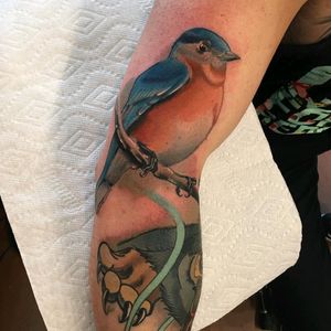 #bird #tattoo #redbaronink