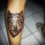 Wolf #tattoobr #iuasatoo #wolf