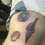 Seashells! Done by the Reverend Jamey Proctor at Shogun tattoo in Salem, NH