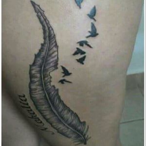 Feather, lettering and birds