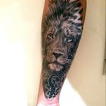 Sleeve Lion Lizzard Half sleeve Forearm tattoo Realistic tattoo Black and grey 