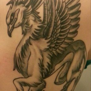 The griffin is above all courage and hope. He was drawn by a tattoo artist only for me.