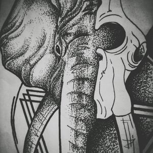 Elephant #elephant #skull #dotwork #drawing