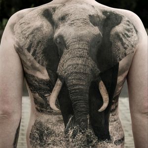 #BlackAddicts #blackandgrey #blackandgreytattoo #elephant #elephanttattoo #elephants #elephantattoo #realism #realisticwork #hyperrealism #realistic #realismo #back #backpiece #fullback #unreal #tattoodo #tattoo #dreamtattoo #tattooartist