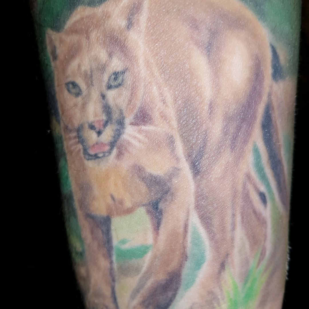 Lion tattoo by Pavel Angel  Post 6141