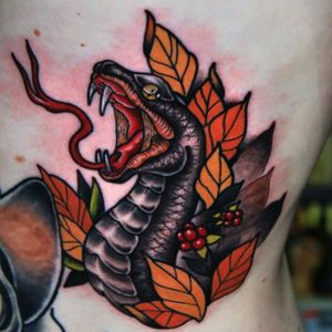 Rib Neo Snake on both sides Follow me on Instagram 1tombrennanArtist @siho_tattooist at @Inkholic #neotraditional #snake #snaketattoo #traditional #color #neotraditionaltattoo #color #viper