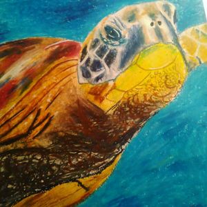 Oil pastel turtle drawing #turtle #turtles #oil #pastel #color #colrful #sea #sealife