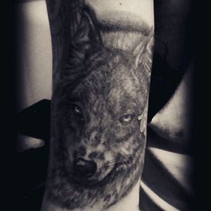 #wolf #originalart#blackwork #tattoo #tauaje #lobo