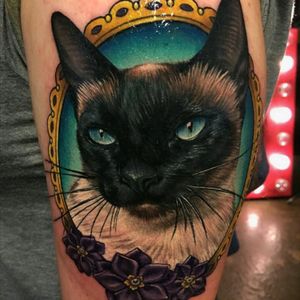 #Cat #Cattoo #Tattoo made by #MeganMassacre at Grit n Glory #siamesecat #kittytattoos #kitty #portrait #colorrealism #realism