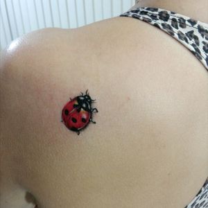 #ladybugtattoo #tattoo #insecttattoo