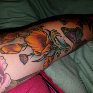 California poppies in the ditch by Chris stoll at red five in Virginia beach.
