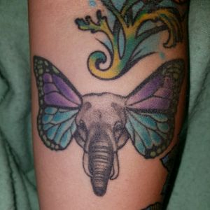 Elephant face with butterfly wings as ears done at red five in Virginia beach