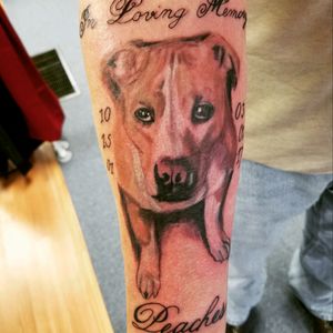 Honored to do this photo realism piece for his dog that passed.