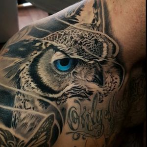 Healed owl done by Sam Andrews