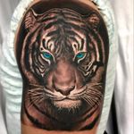 Loving my first ever Tiger tattoo by Rods Jimenez at #sacredtattoonyc #realism #realismo #tigertattoo #tiger