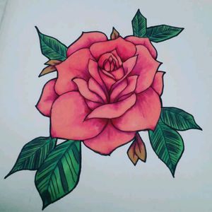 American traditional rose #rose #roses #flower #flowers #flowertattoo #rosetattoo #american #traditional #AmericanTraditional #americantraditionaltattoo #sketch #drawing #drawings