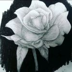 Rose drawing #rose #roses #flower #flowers #rosetattoo #flowertattoo #drawing #drawings #pencil #pencildrawing #pencildrawings #charcoal #black #blackandgrey