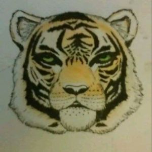 Tiger sketch that I think would look great on a chest or upper arm
