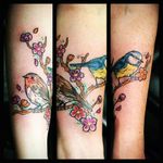 Birds and flowers #robin #bluetit #branch #flowers #birds #birdtattoo #glasgow #scotland #cartoonish