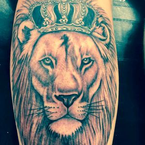 Lion with crown. Realism