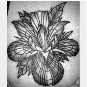 Orquídea tattoo. .....#orquideatattoo #orchids #blackwork