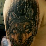 #coveruptattoo #wolf #wolftattoo #woods #moon #blackandgreytattoo #realistictattoo #ink #tattoo #NoRegretsTattoo #DAlexanderTattpo #cheyene