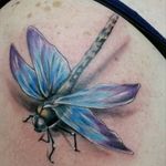 #heavybiggs #inksanitytattoo #colortattoo #lakeelsinoreca #insect #dragonfly #3D #3dtattoo