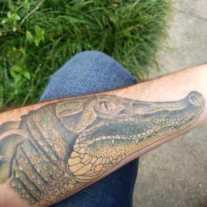 My first tattoo growing up in the swamp it had to be a gator. #Alligator #NOKings