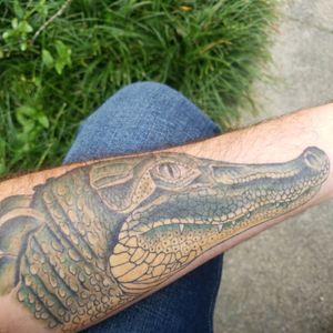 Gator In Tattoos Search In 1 3m Tattoos Now Tattoodo