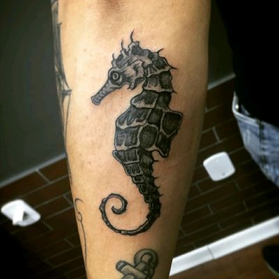 Cavalo marinho  Seahorse tattoo, Seahorse drawing, Animal drawings