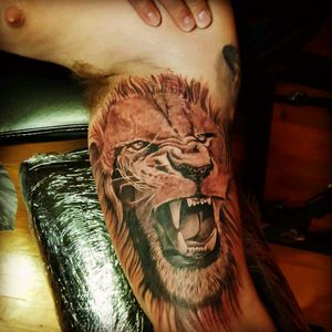 #lion #blackandgrey #realism #detail