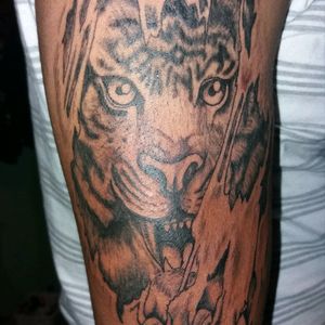 #tigre #tattooecuador #tigertattoo
