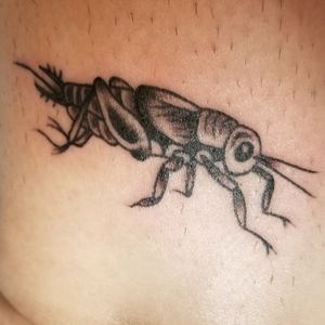 a small cricket - inner ankle theo laurent - only you tattoo - atl #cricket #blackandgrey #traditional #insect #bugs