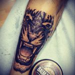 #tattoo #tattoodo #tiger #tigertattoo #realistictattoo #blackandgraytattoo #myfirstiger #stepbystep #stixistattoosupplies