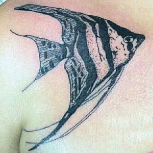Acará-Bandeira fish. #annytattoomanaus #tatuadorademanaus #fish #tattoo #fineline #linework #dotwork