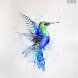 #hummingbirds