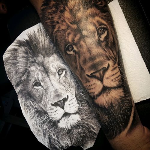 Lion tattoo black and gray @alexandrerodrigues_t2 #lion #tattoooftheday #liontattoo #artoftheday #hoorn #realistictattoo #realism