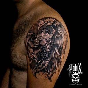 www.poluxdi.com Phoenix tattoo Felipe Rios A Pereira Colombia