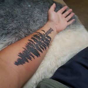 My First piece a day after I got it - no it's not a pine tree it's a coastal Redwood or a Sequoia  Sempervirens.Keen for a forest cuff though!ARTIST: SHAUN TAEGE (Living ink)#tree #redwood #forest #coastalredwood #wood #firsttattoo #forearm #growth #blackandgrey #freshink #branches #bruised #strength #forestcuff #sleeve #woodwork #simple #linework #outline #noshading #dotwork