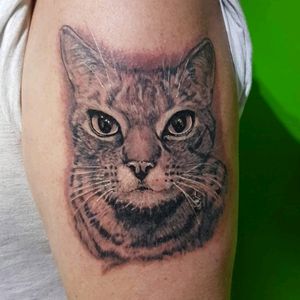 A memmorial tattoo of sombodys pet cat done by Craig Startin.