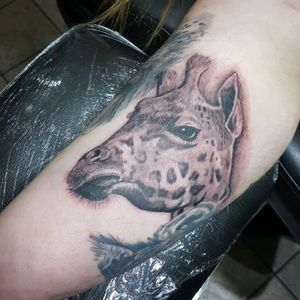 Craig has done this beutifull Giraff tattoo all with silverback inks