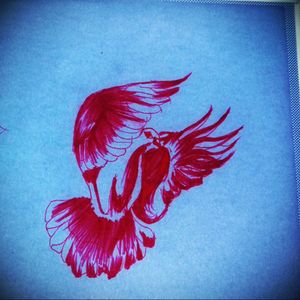 #skitze #taube #fliegen #federn #Vorlage #stencil #rot #Farbe #tattoo #tattooartist