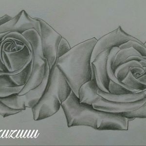 Première étape du dessin commandé ;) #roses #tattoo #realisme #passionsansfin #oncontinue #ink #nofilters #marseille